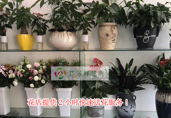 长治上党区花店提供长治上党区2小时快速送花服务